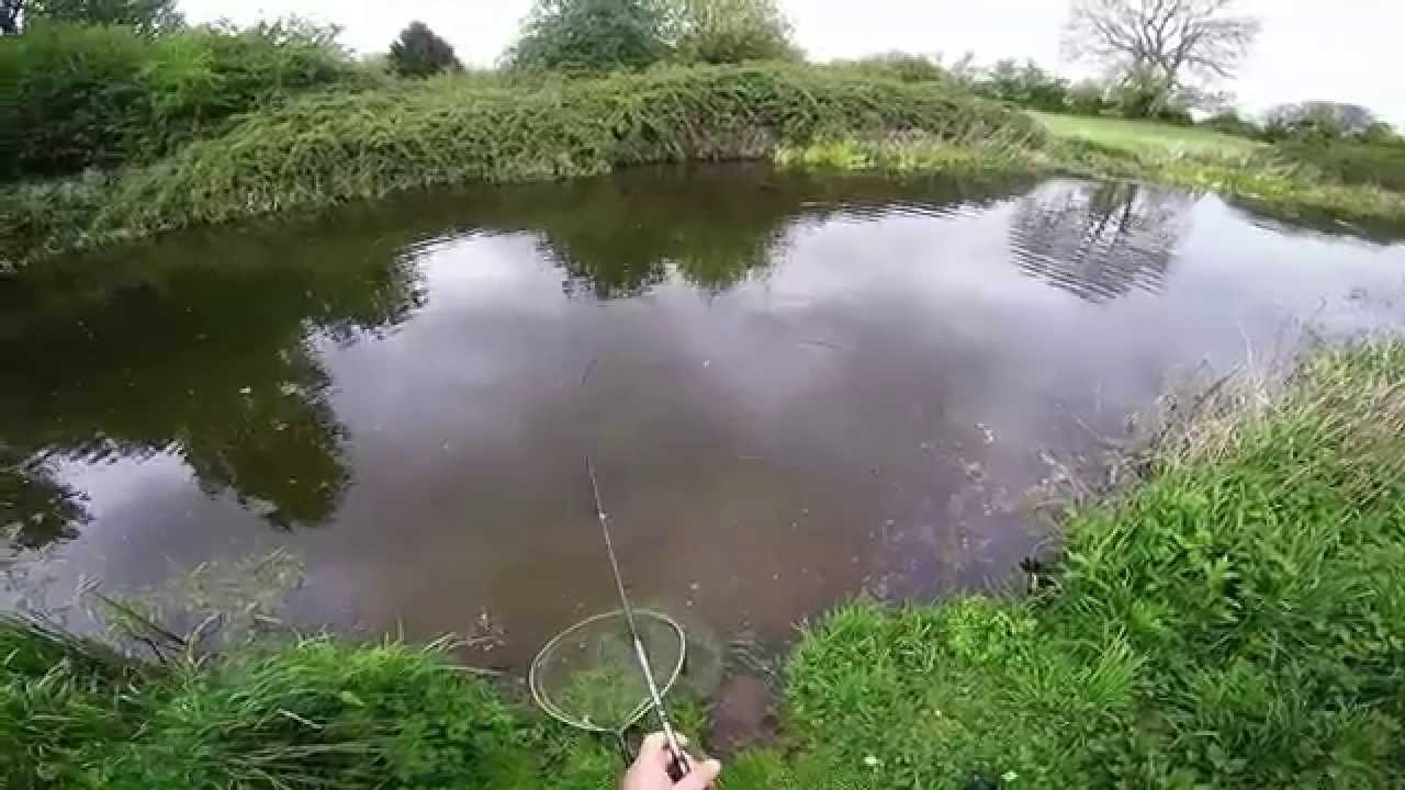 SpinMad Jigmaster 24 g Canal Sessions