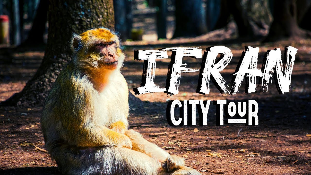 Ifran City Tour l The Small Switzerland of Morocco and Michlifen (Cinematique video) ⛷ 🏂