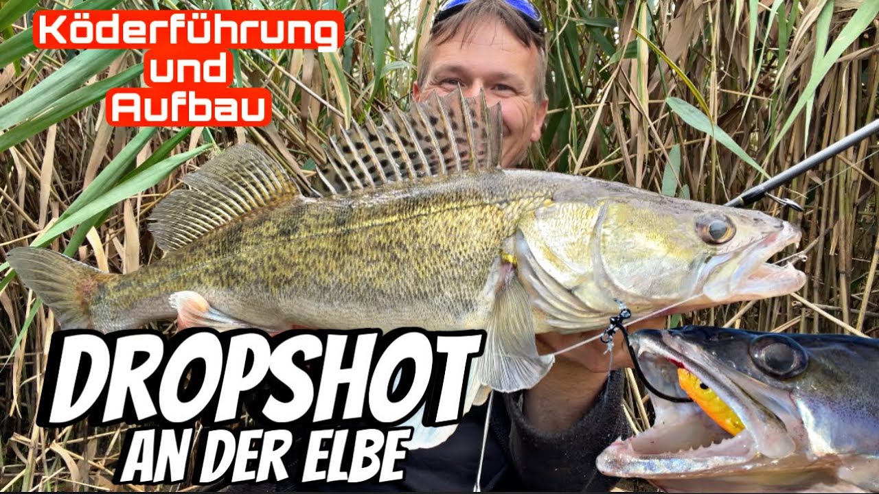 Dropshot angeln an der Elbe, mit K&ouml;derf&uuml;hrung und Aufbau. Dropshot vissen met Instructies.