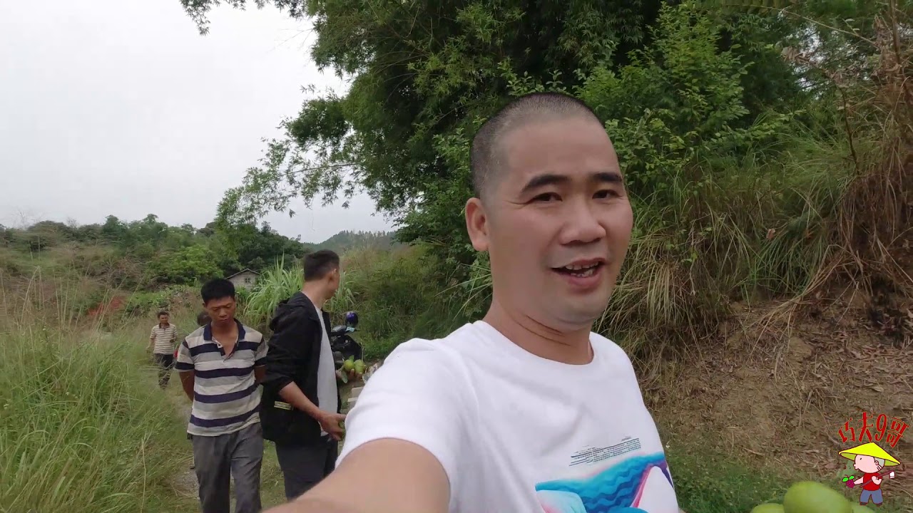 什么时候的皇帝柑最好吃？9哥道出小秘密，很多人这才恍然大悟！