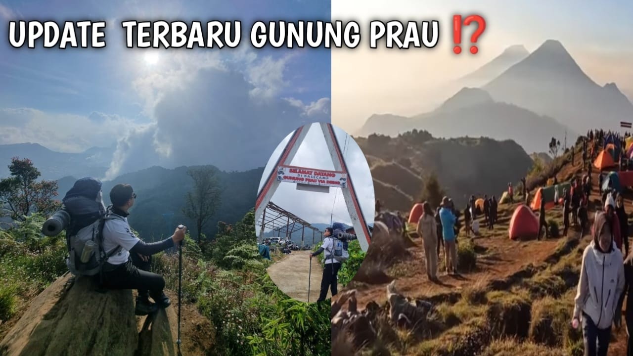 UPDATE TERBARU ‼️PENDAKIAN GUNUNG PRAU VIA DIENG || Surganya Bunga Daisy