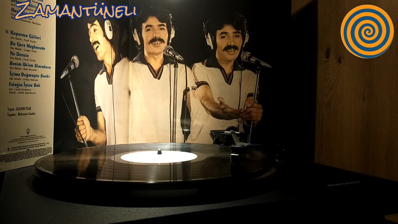 Ferdi TAYFUR ''NE DERSİN''Orjinal LongPlay Plak Kaydı #ferditayfur #ferditayfurşarkıları #plak