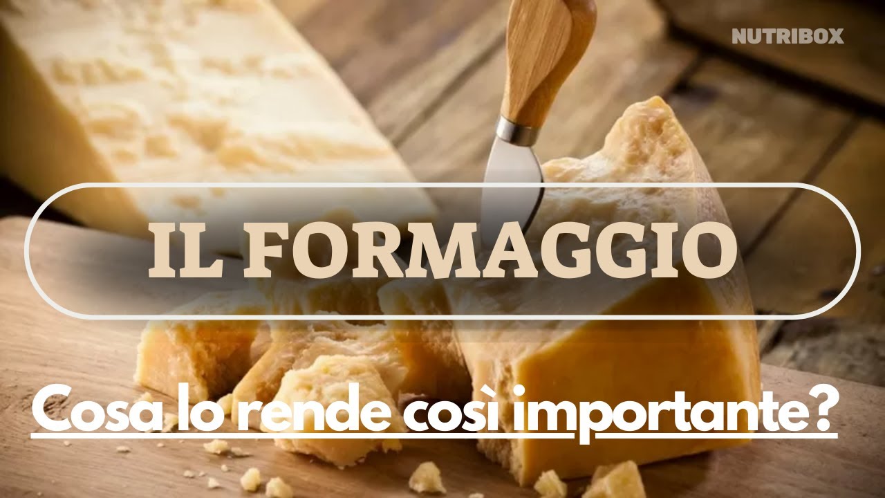 I Segreti del Formaggio: Produzione, Conservazione e Servizio Ottimale