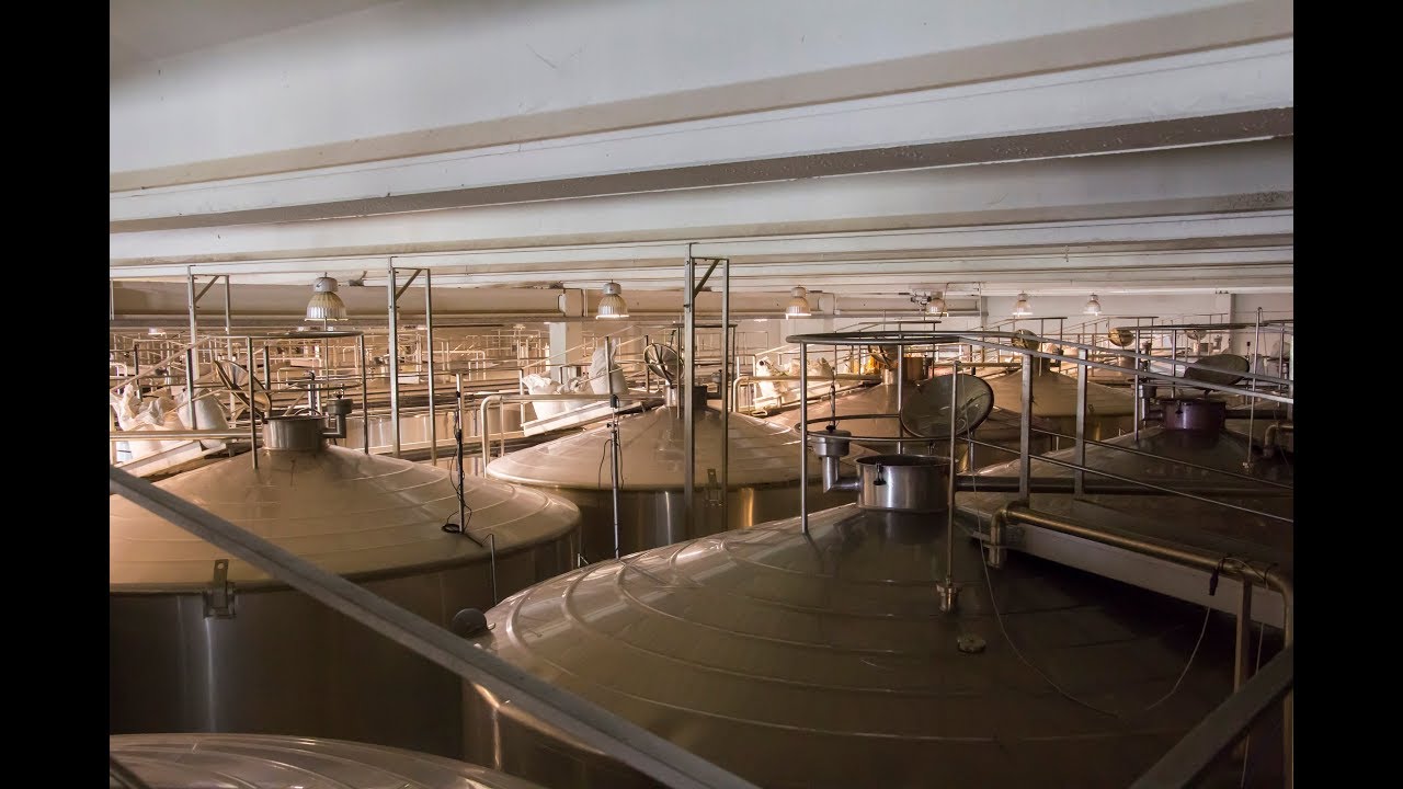 Trabajos en bodega, ¿sabes lo qué es el remontado?