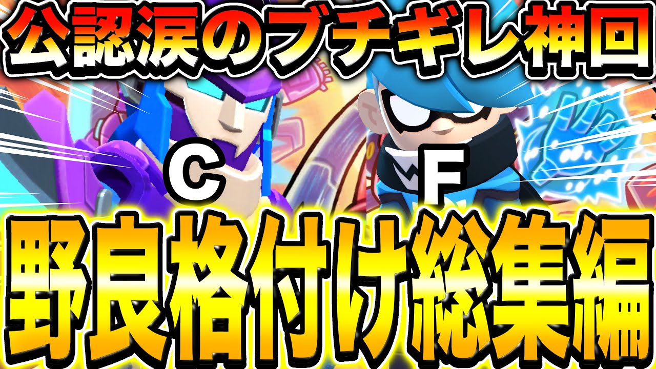 【総集編】神回だらけの野良格付けを一気見wwwww