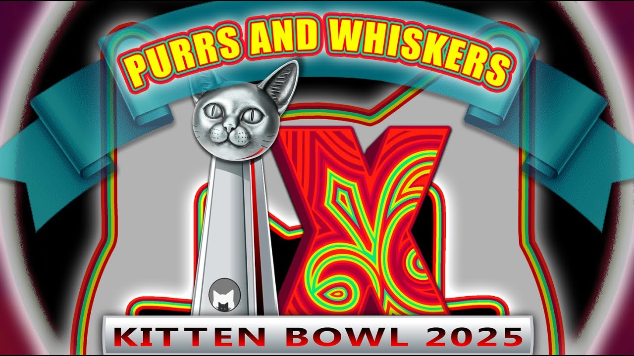 Purrs and Whiskers Kitten Bowl X (2025)