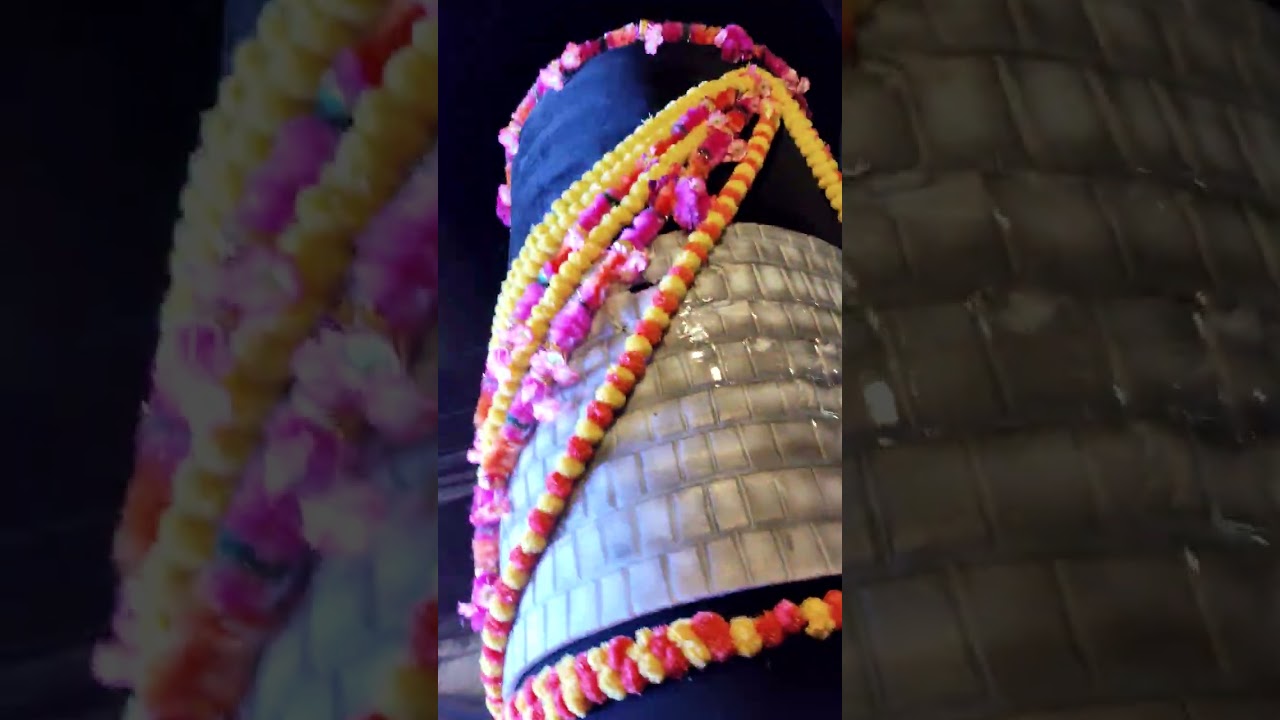  Maha Shivratri Sobha Yatra Patna 2026 | Bhakti, DJaur Bhole Baba ka Mahotsav ) #mahadev #shivratri