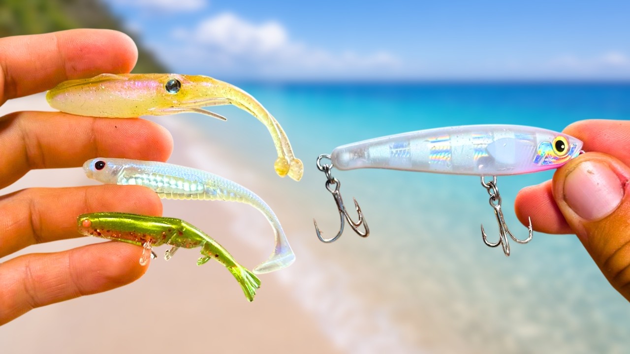 Are These LAND BASED Lures PERFECT For Beach Fishing?