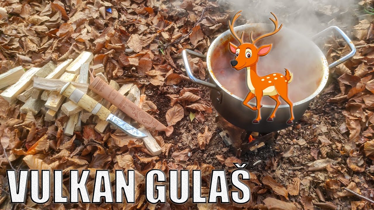 Kuhamo jelena u šumi!