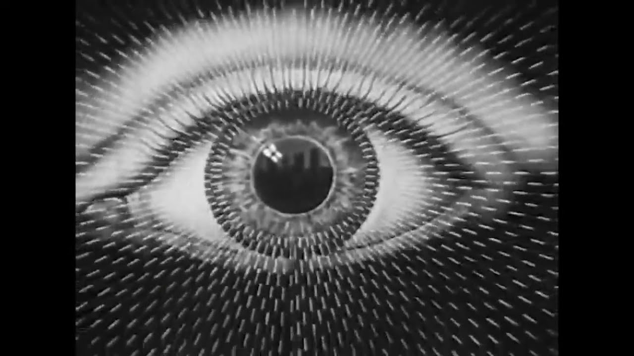 Ed Harcourt - Only The Darkness Smiles For You (Official Video)