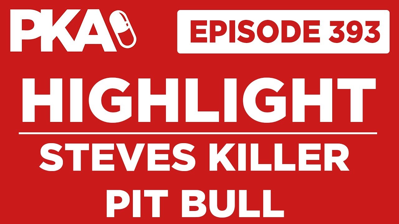 PKA 393 Highlight Steves Killer Pit Bull