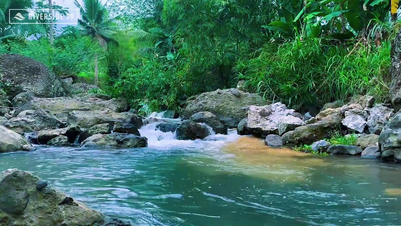 Mountain River Flowing Sounds 24/7 for Sleeping | Nature Water Sounds White Noise for Relaxation #55