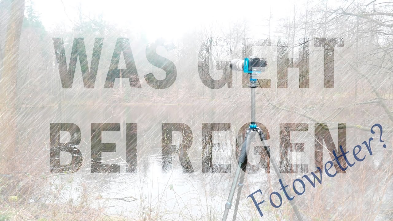 Was geht bei Regen ? Fotografieren im Hasbruch Wald.