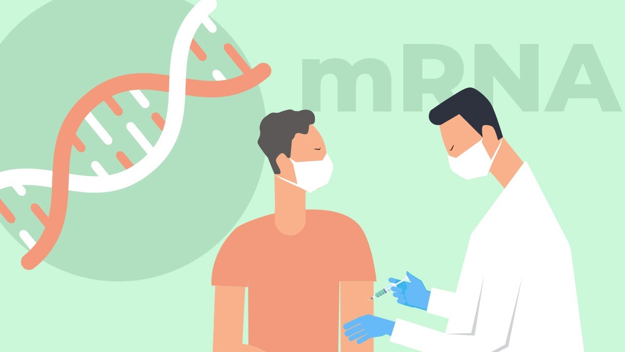 FKC EasyTeach Erkl&auml;rfilm: mRNA