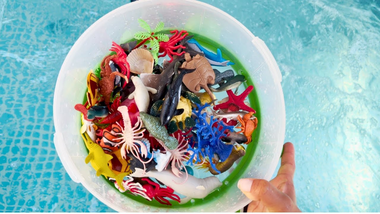 Pool Ocean Toys Sink Or Float | Jeremy puts animals in pool with @zekielshow