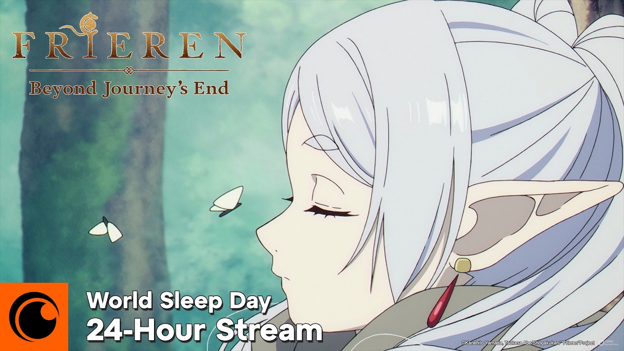 Frieren Sleeps For 24 Hours Straight