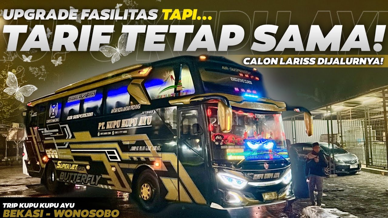 UPGRADE FASILITAS‼️ CALON LARIS DIJALURNYA‼️🤔 - Trip Kupu Kupu Ayu | Bekasi - Wonosobo