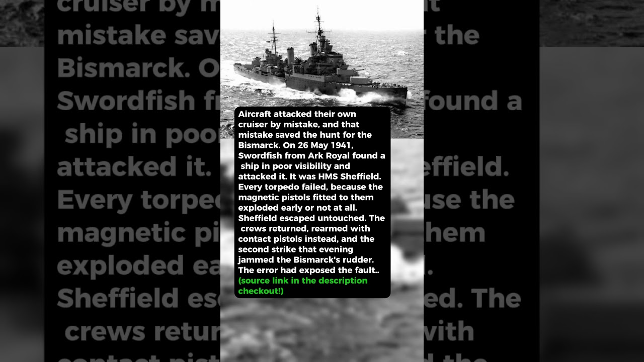 Pilots Attacked Their Own Ship by Mistake &mdash; It Saved the Operation #short #history #ww2
