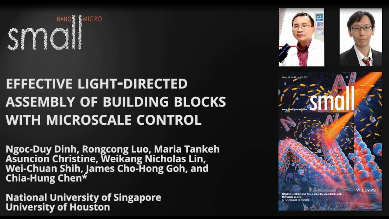 Effective Light Directed Assembly of Building Blocks with Microscale Control