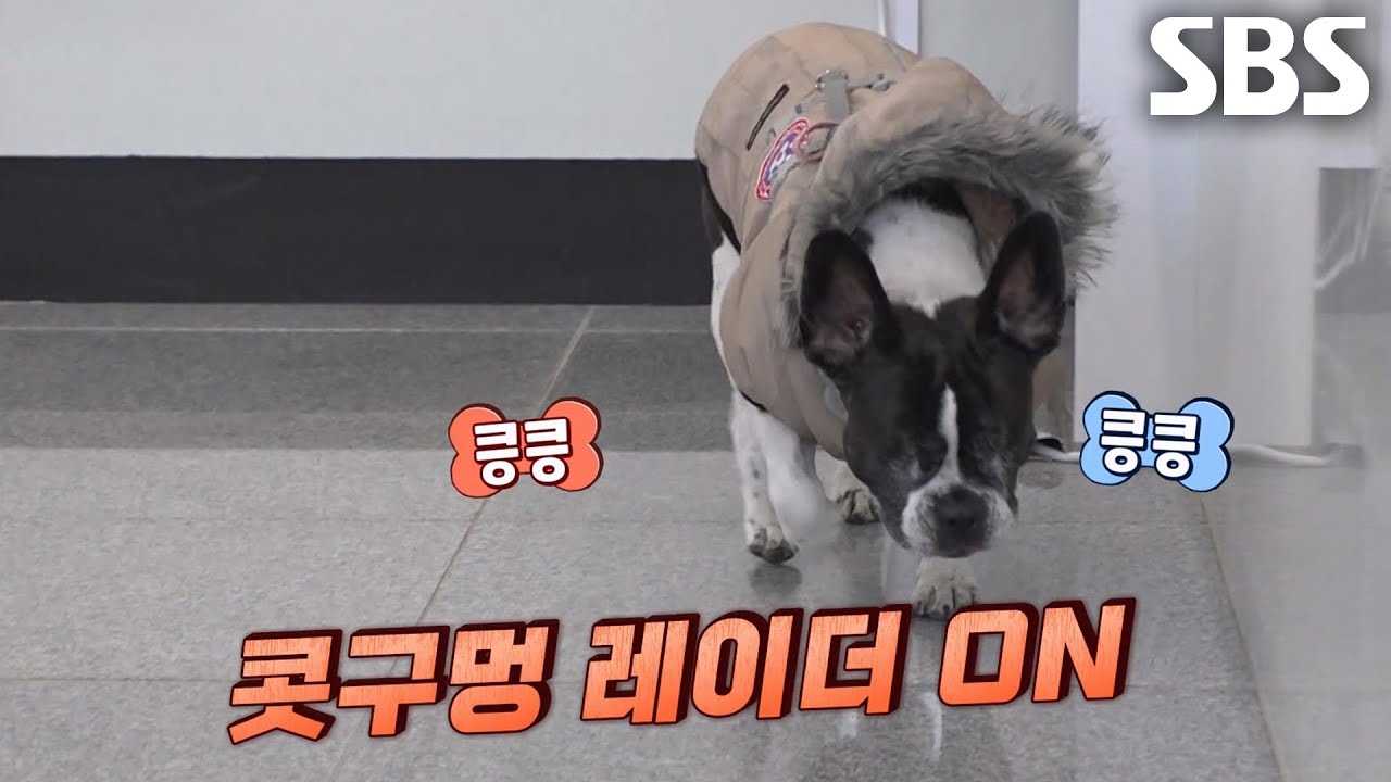 마음의 눈으로 세상을 보는, 빵이의 특기 대방출★