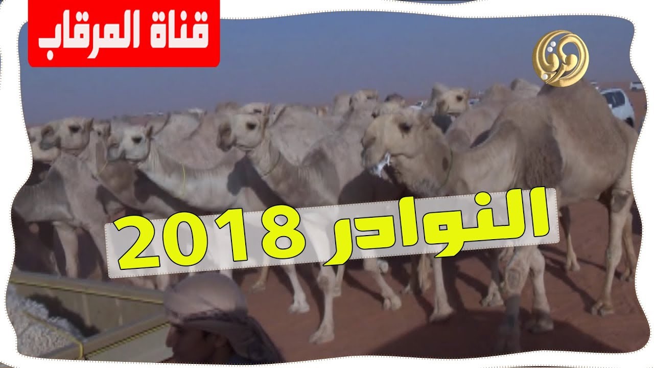 مسيرة النوادر لمالك الإبل فارس بن مسعود بن قويزان العتيبي  (النوادر 2018)