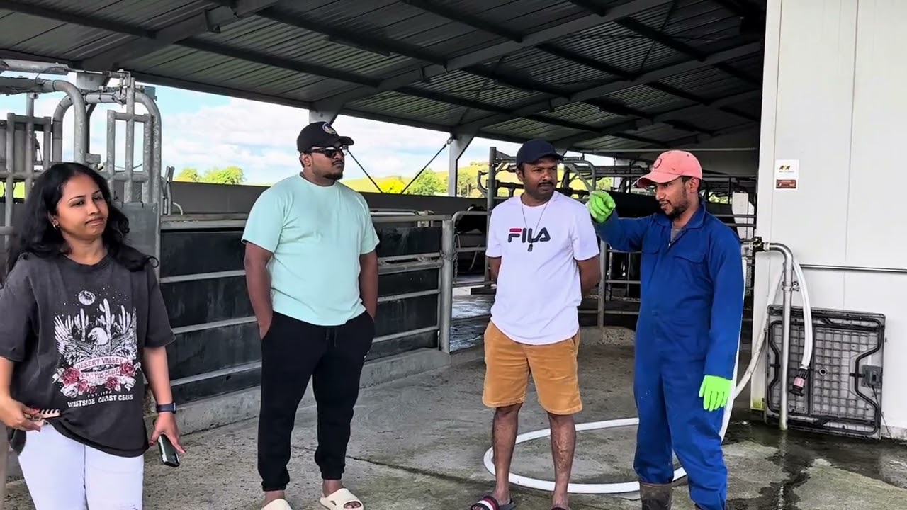 We Spent an Evening on a Farm 🐄🤠| සති අන්තේ පොඩි රවුමක් 🥛#vlog 