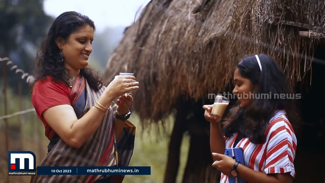 'കടുപ്പ'ത്തിലൊരു നല്ല കാഴ്ച!!! നമുക്കൊരു ചായ കാച്ചിയാലോ?  | Sukuvettante Chayakkada | Wayanad