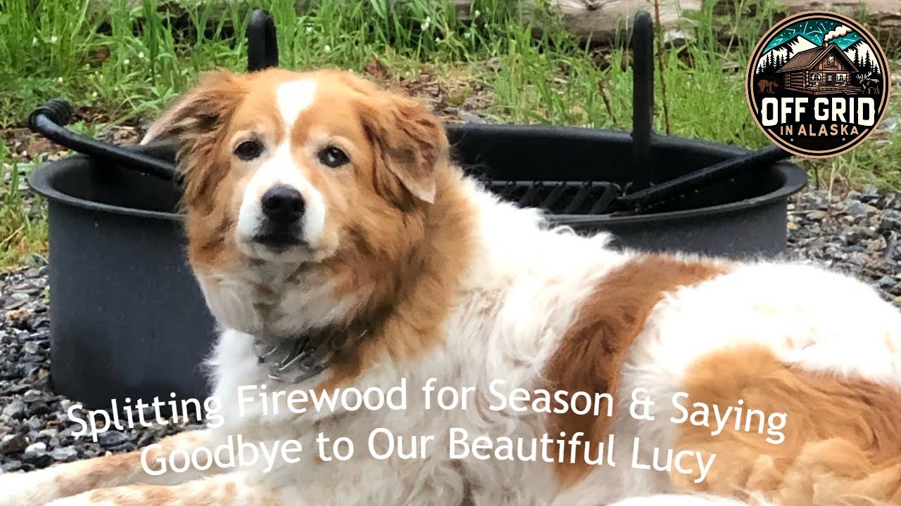 Splitting Firewood for Season & Saying Goodbye to Our Lucy