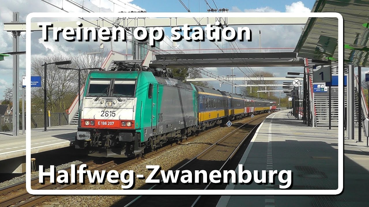 Treinen op station Halfweg-Zwanenburg! // Dutch Train Compilation