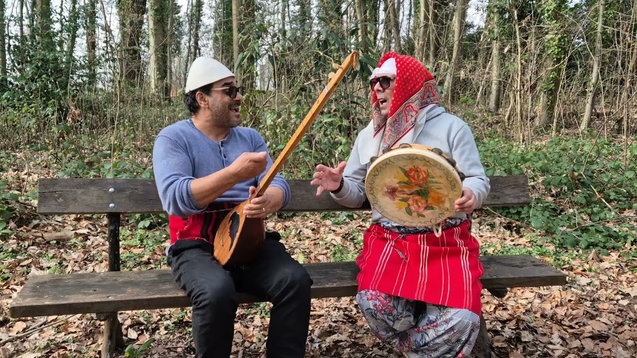 Moderno hajmalija