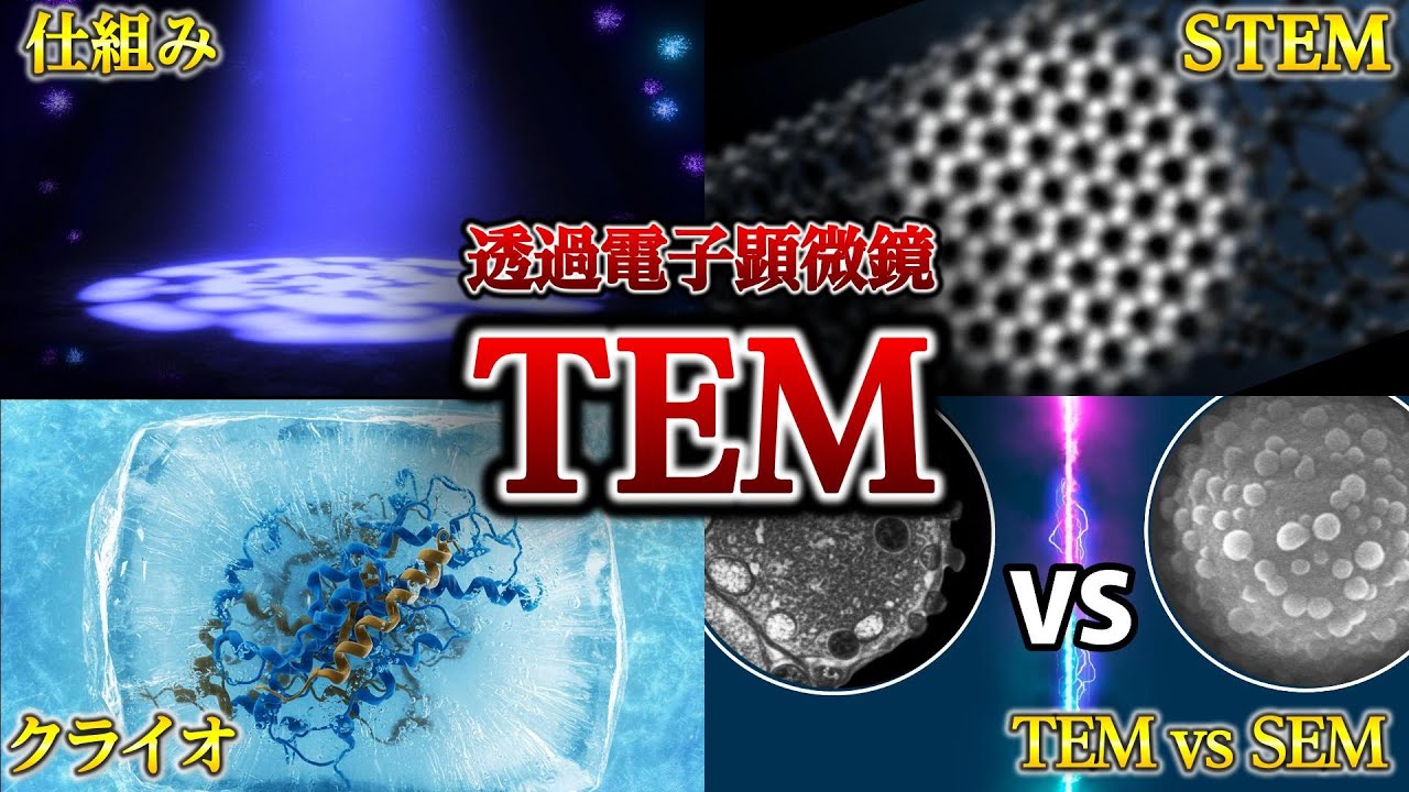 【完全版】TEM (透過電子顕微鏡) の全て！仕組み・STEM・クライオ・SEMとの違いを徹底解説！