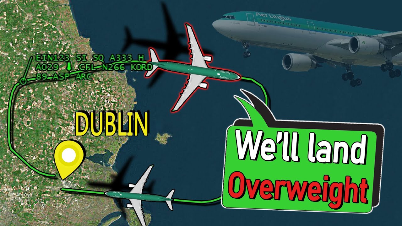 MULTIPLE BIRD STRIKES + VIBRATIONS | Aer Lingus A330 at Dublin