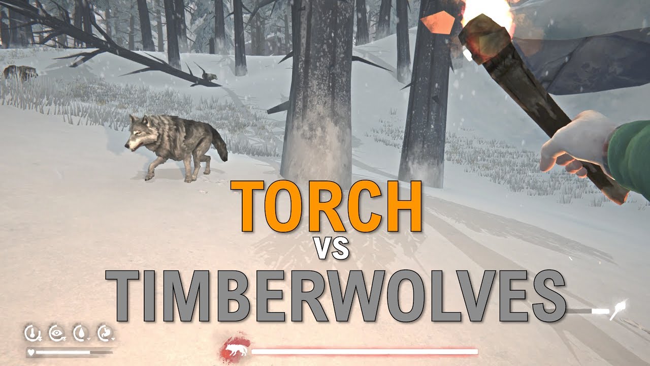 Don't worry about the Timberwolves (The Long Dark)