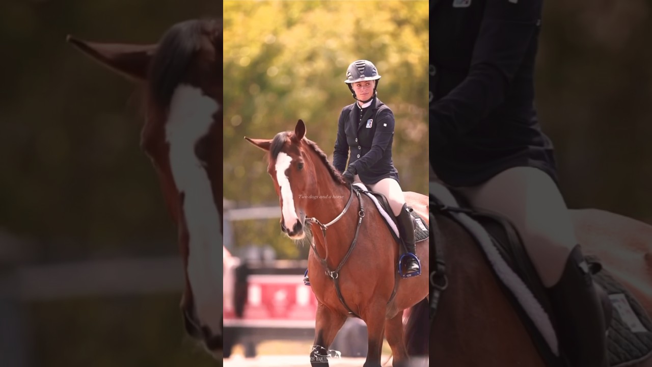 Obsessed with two things! 1: Brittni Ralflowitz 2: the look of this war bridle #horse #horsemanship