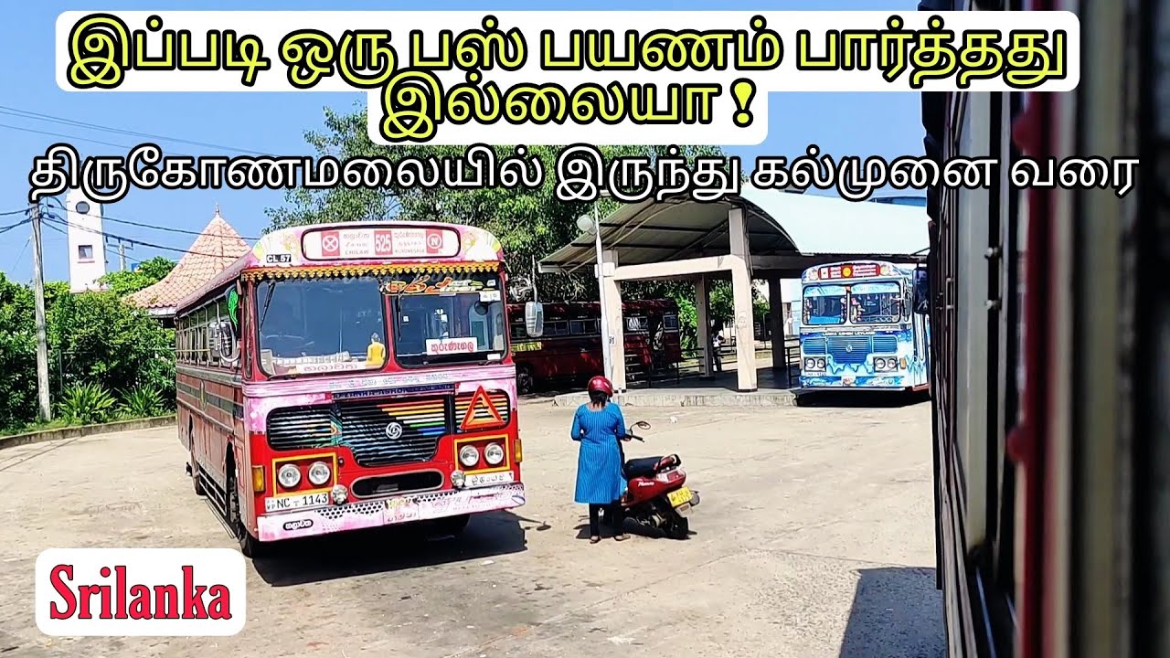 Trincomalee to Kalmunai | Bus Ride | திருகோணமலையில் இருந்து கல்முனை வரை #tamilvlog #srilanka #shen