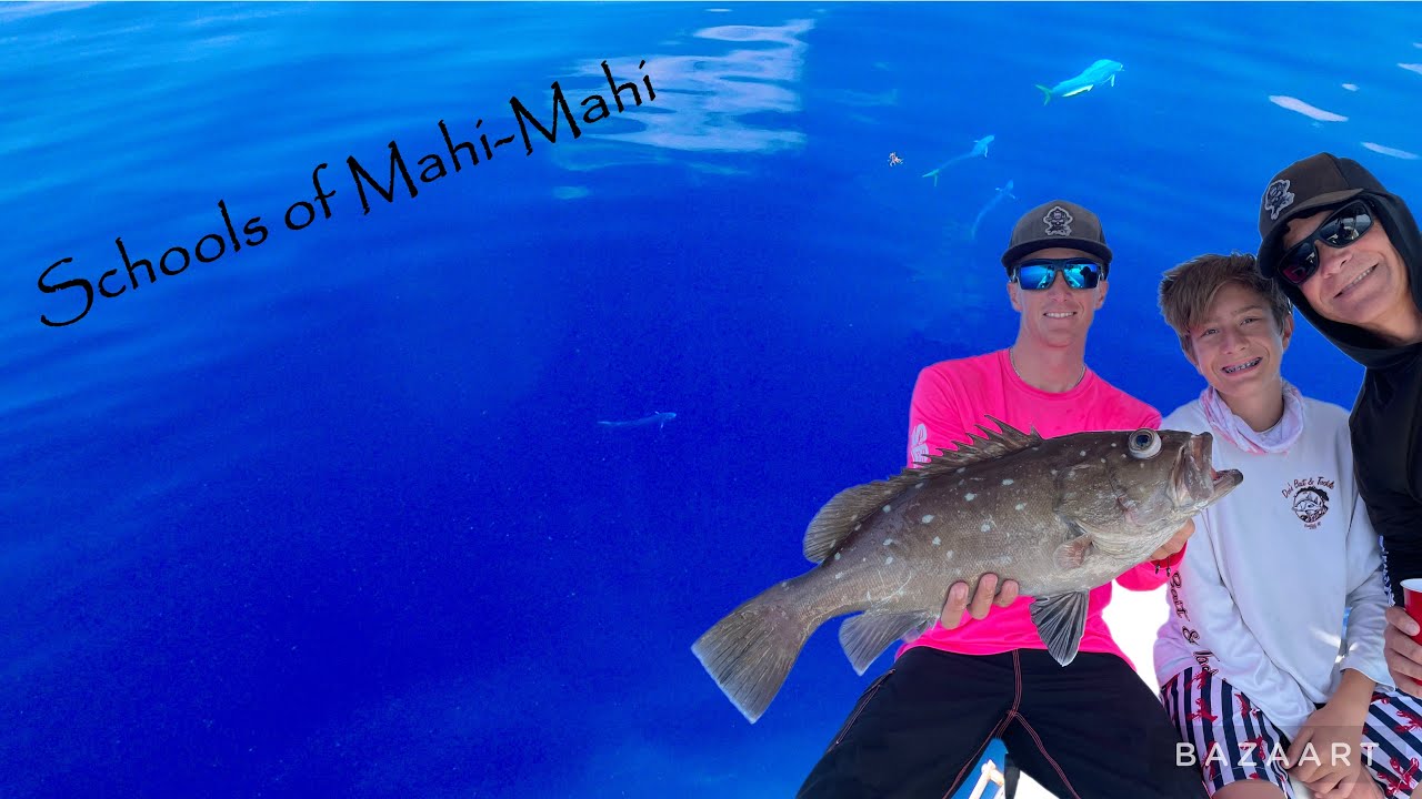 Snowy Grouper and Mahi-Mahi in Marathon Florida | Tanacom 1200