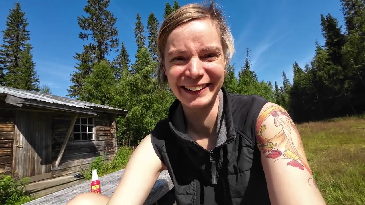 Södra Kungsleden 02 🇸🇪 - von der Björnholmsstuga bis Flötningen (Wandern in Schweden / Sweden)