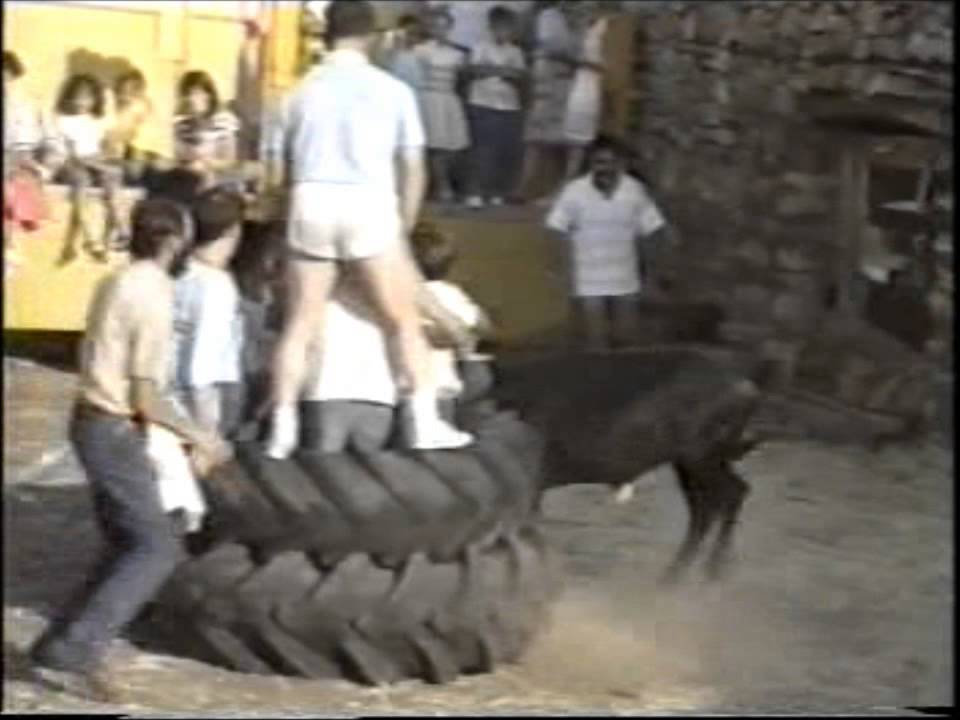 REZNOS VAQUILLA 2