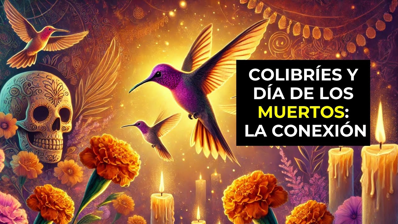 Colibríes y espiritualidad: El dulce misterio del Día de los Muertos