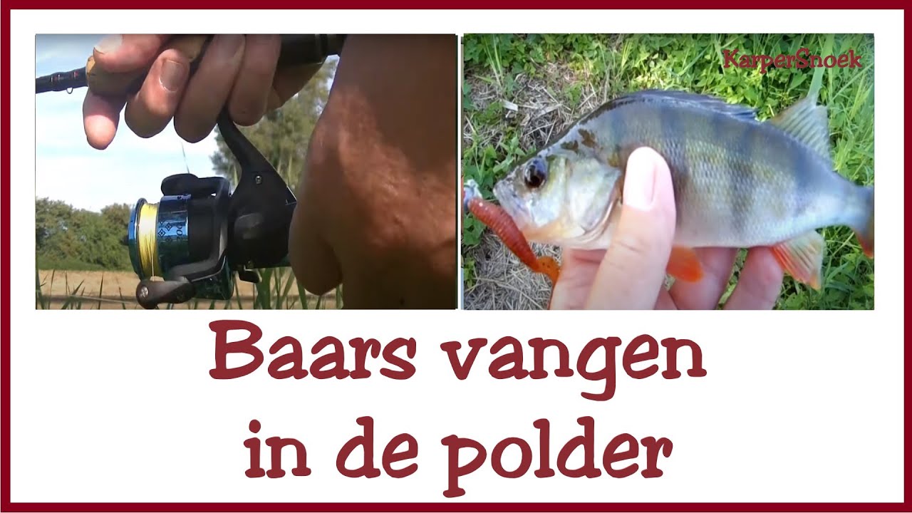 BAARSJES, simpel vissen en vangen | 2019 SPORTVISSEN voor kinderen