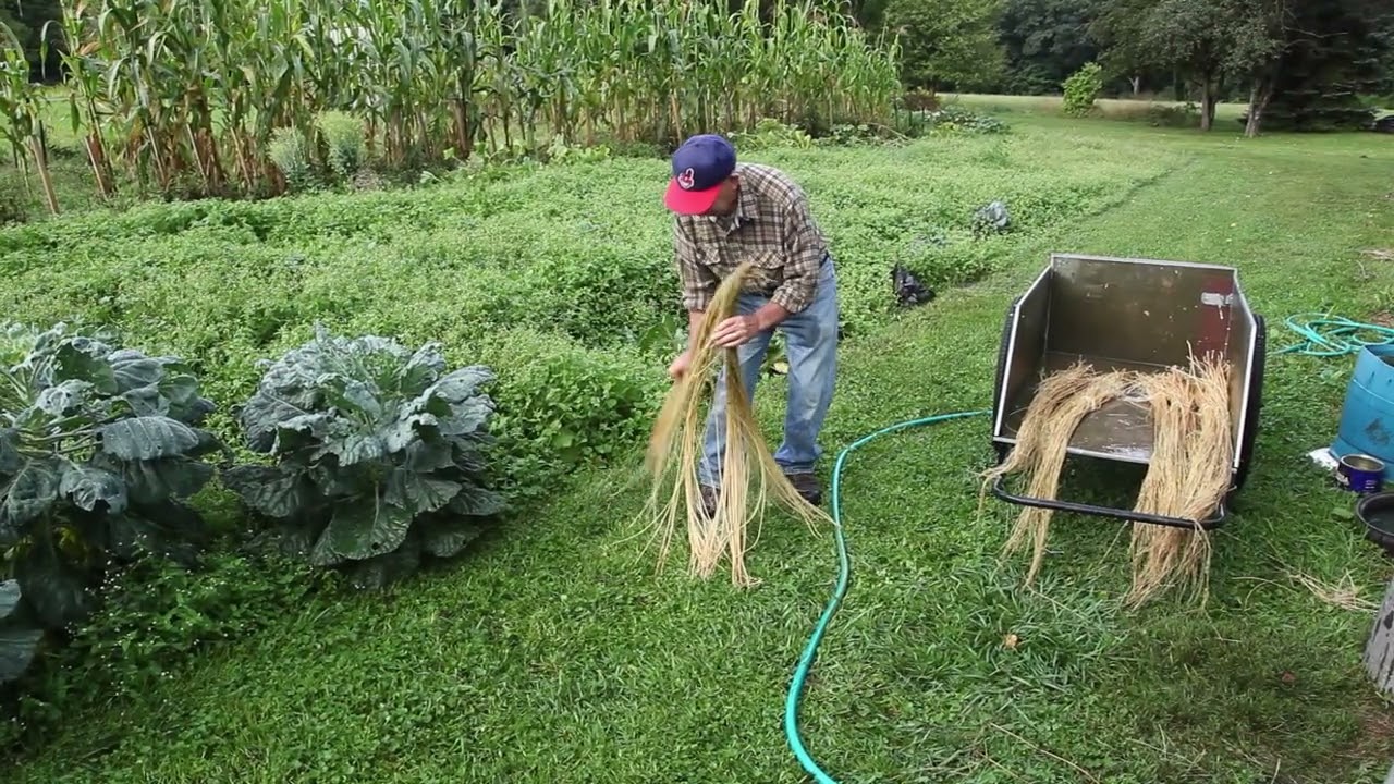 From Flax Seed to Linen