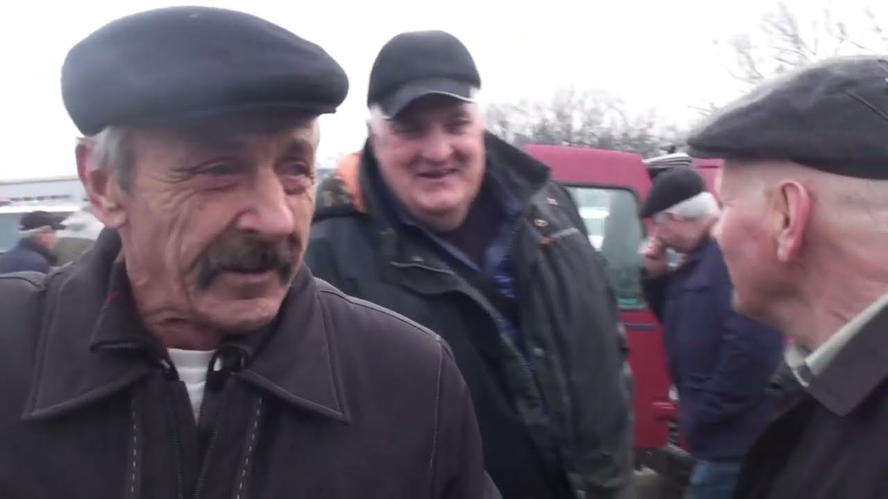 Зустрічі голубоводів