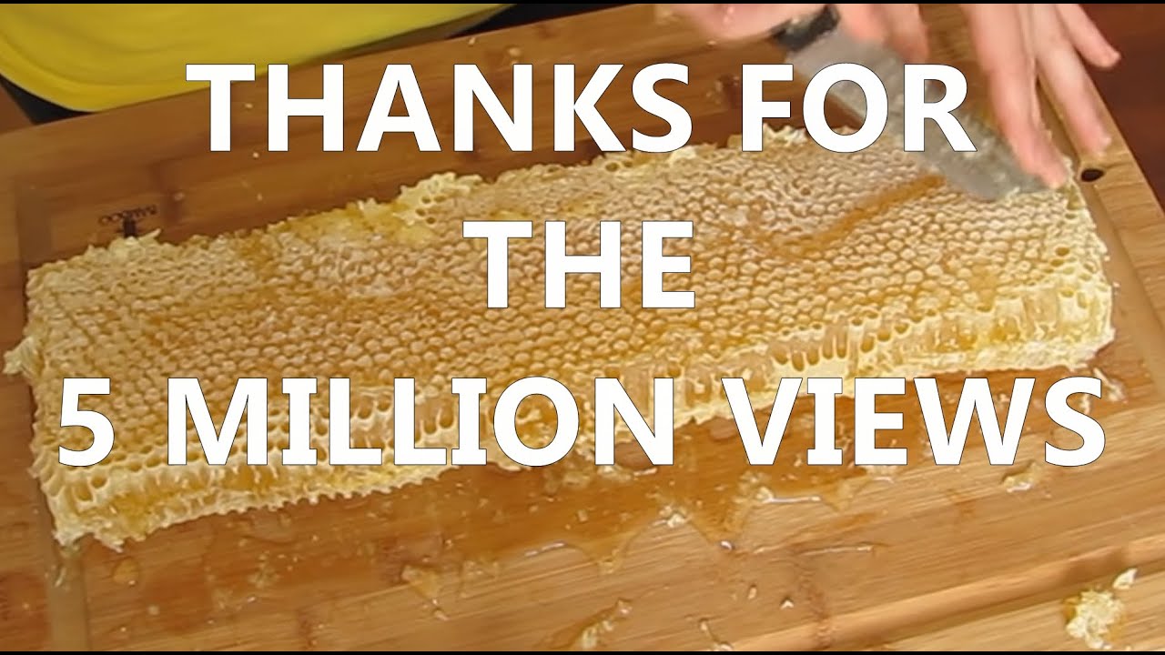 Cutting & Bottling Honey (Sept 25, 2011)