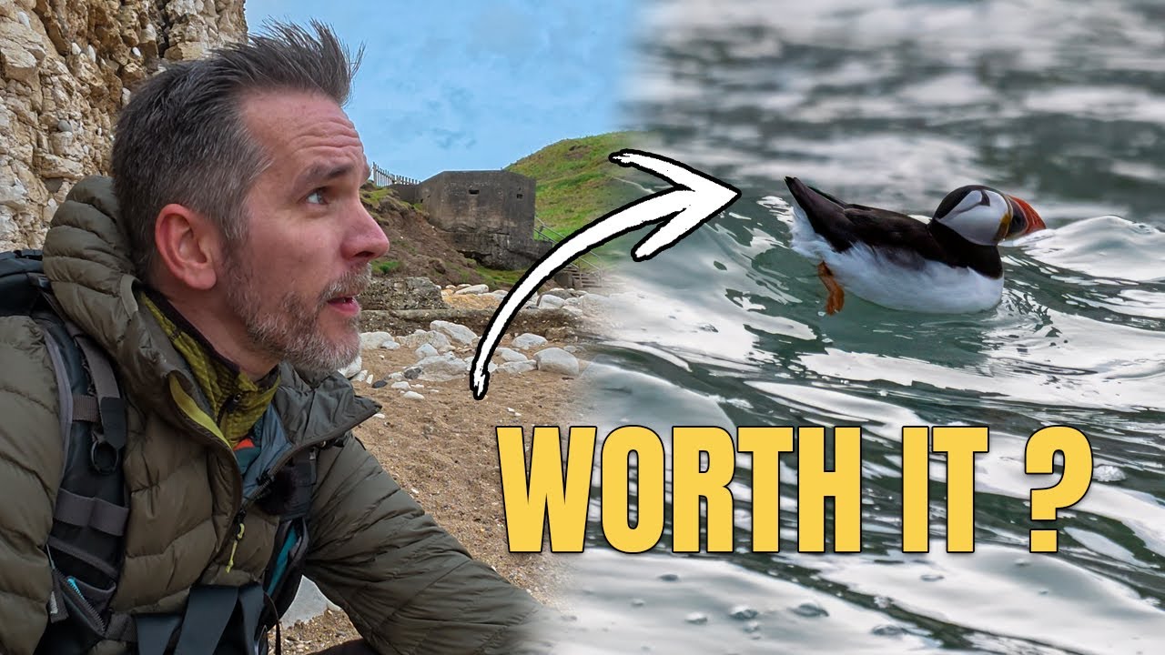 Puffin Photography: A Yorkshire Bay Adventure