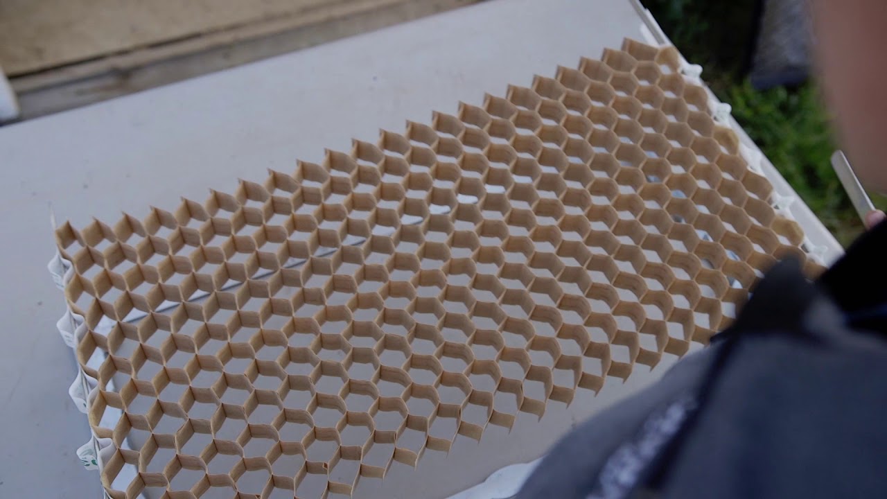 How to Seed Your Paperchain Pots/Trays
