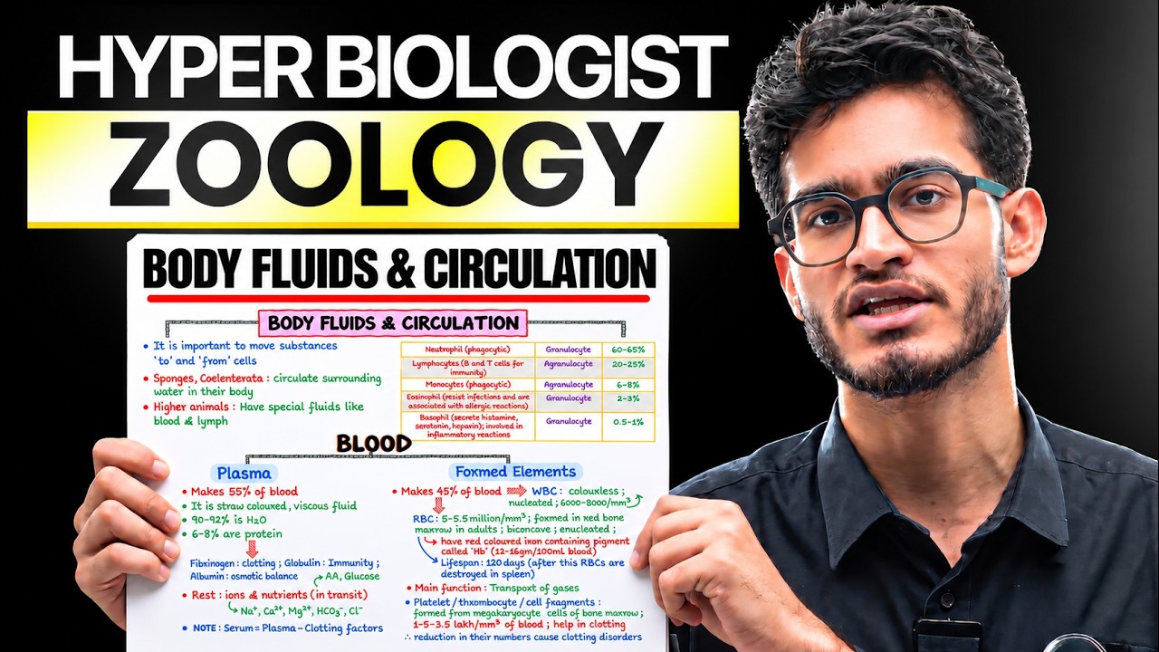 BODY FLUIDS & CIRCULATION Complete Chapter in One Video || Class 11th NEET || Hyperbiologist