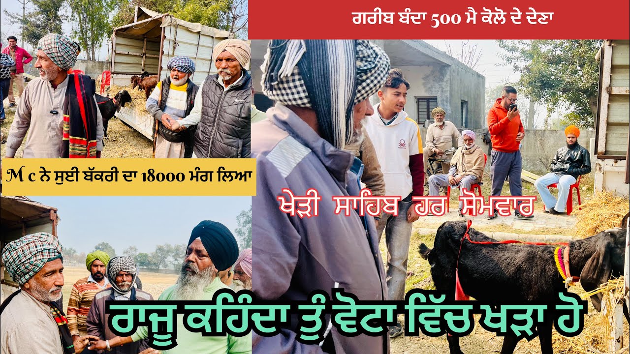 Mc ਨੇ ਸੂਈ ਬੱਕਰੀ ਦਾ 18000 ਮੰਗ ਲਿਆ ਰਾਜੂ ਕਹਿੰਦਾ ਗਰੀਬ ਬੰਦਾ 500 ਮੈ ਕੋਲੋ ਦੇ ਦਿਨਾ ਬੱਕਰੀ ਵੇਚ ਦਿੱਤੀ ਤੇਰੀ🤔