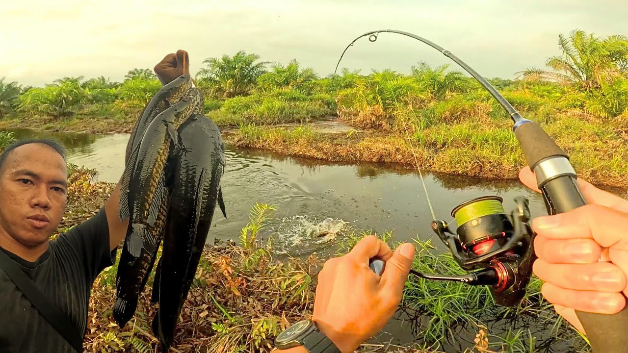 DAPAT IKAN SEBANYAK INI‼️TERNYATA MASIH BANYAK IKAN NYA DISINI