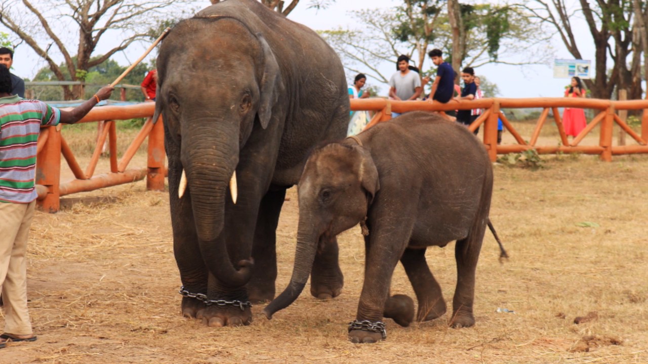 Madikeri Tourism-Kodagu-Coorg-Karnataka,India