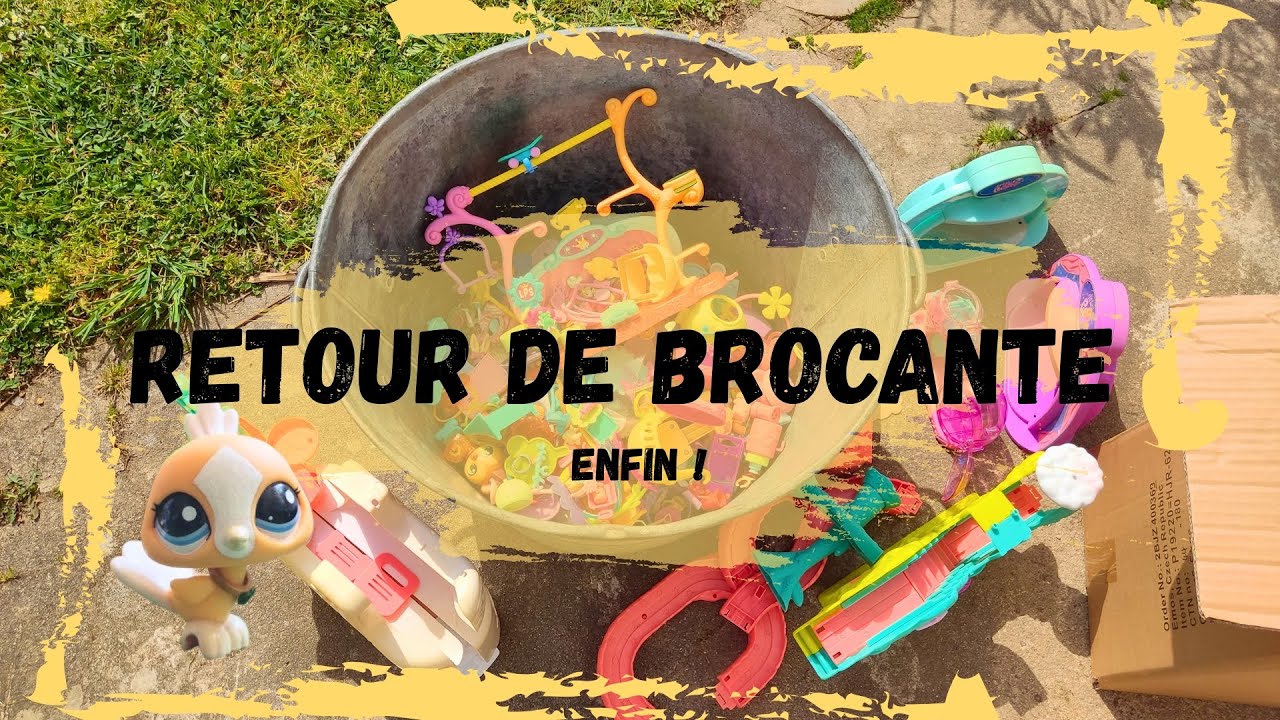 LITTLEST PETSHOP : RETOUR DE BROCANTE !!!